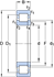 Immagine di NUP 317 ECM/C3VQ260